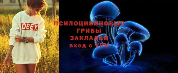 a pvp Алексин