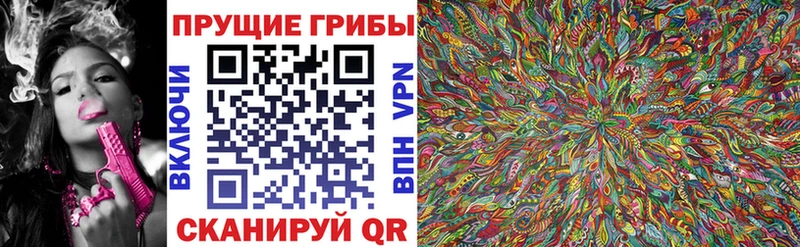 Псилоцибиновые грибы мицелий Гуково