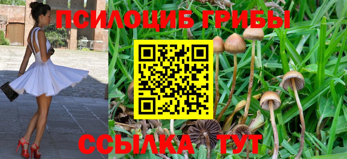 Галлюциногенные грибы MAGIC MUSHROOMS  Вход с VPN  Галлюциногенные грибы ЛСД  Гуково 